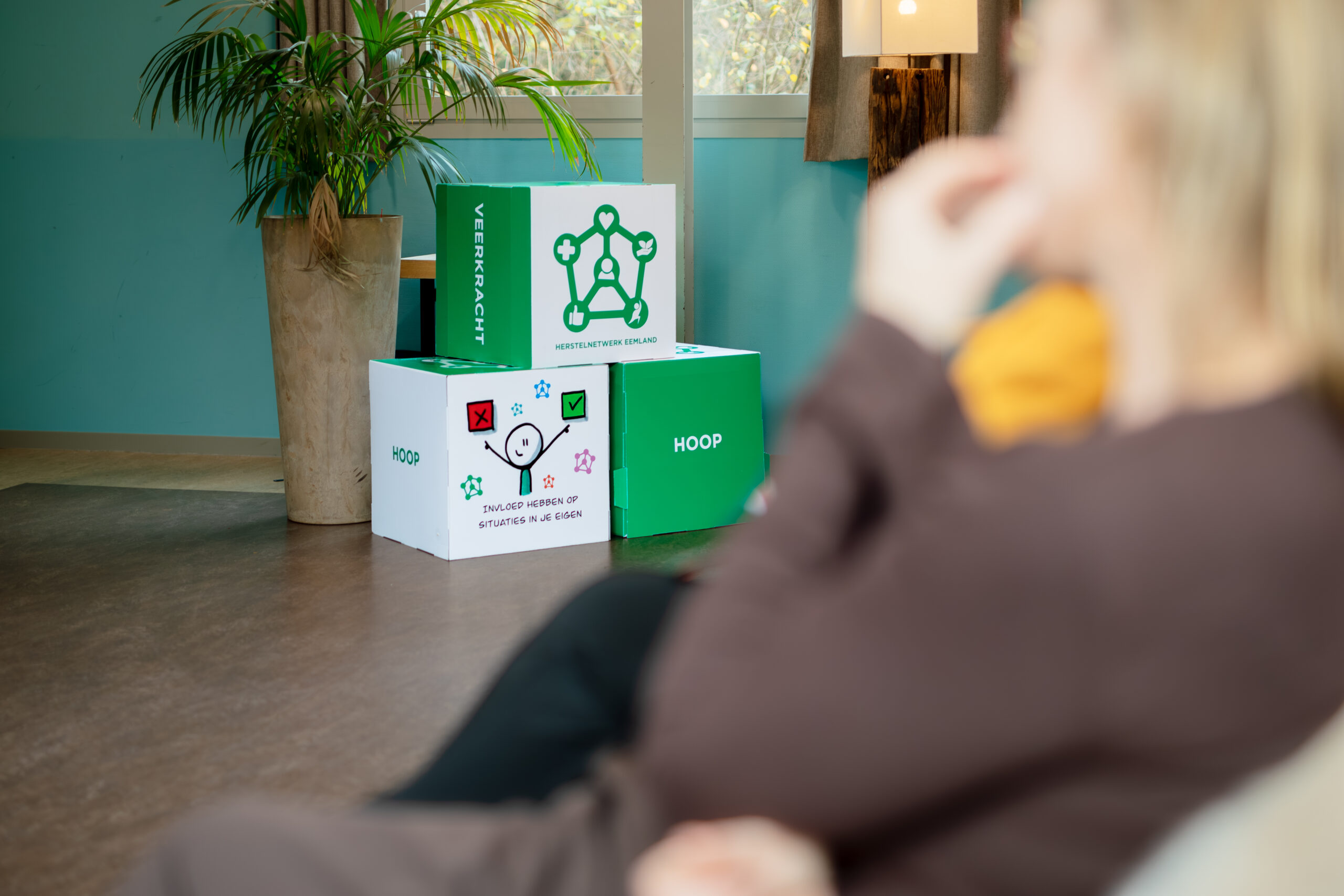 Foto van drie dozen met daarop het herstelnetwerk en andere onderdelen van het mentaal gezondheidsnetwerk Eemland